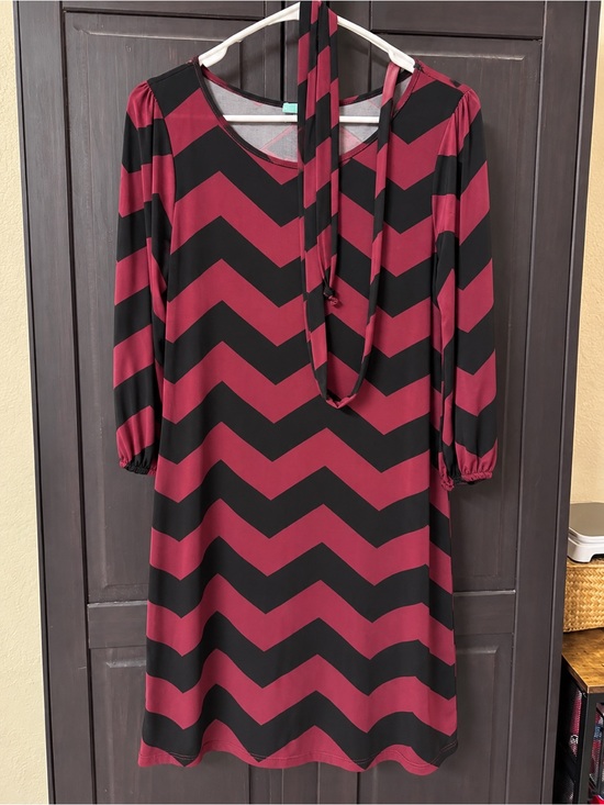 Filly Flair Dresses & Skirts - Filly Flair Burgundy and Black Chevron Long Sleeve Shift Dress
